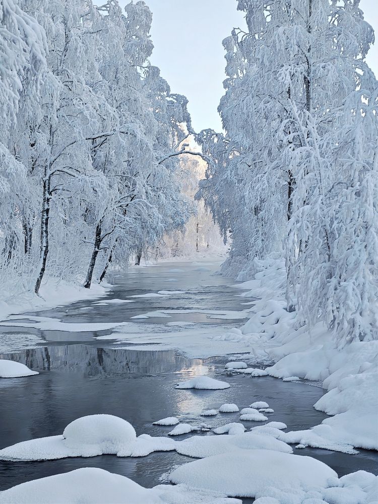 Photograph by OLga Piirainen