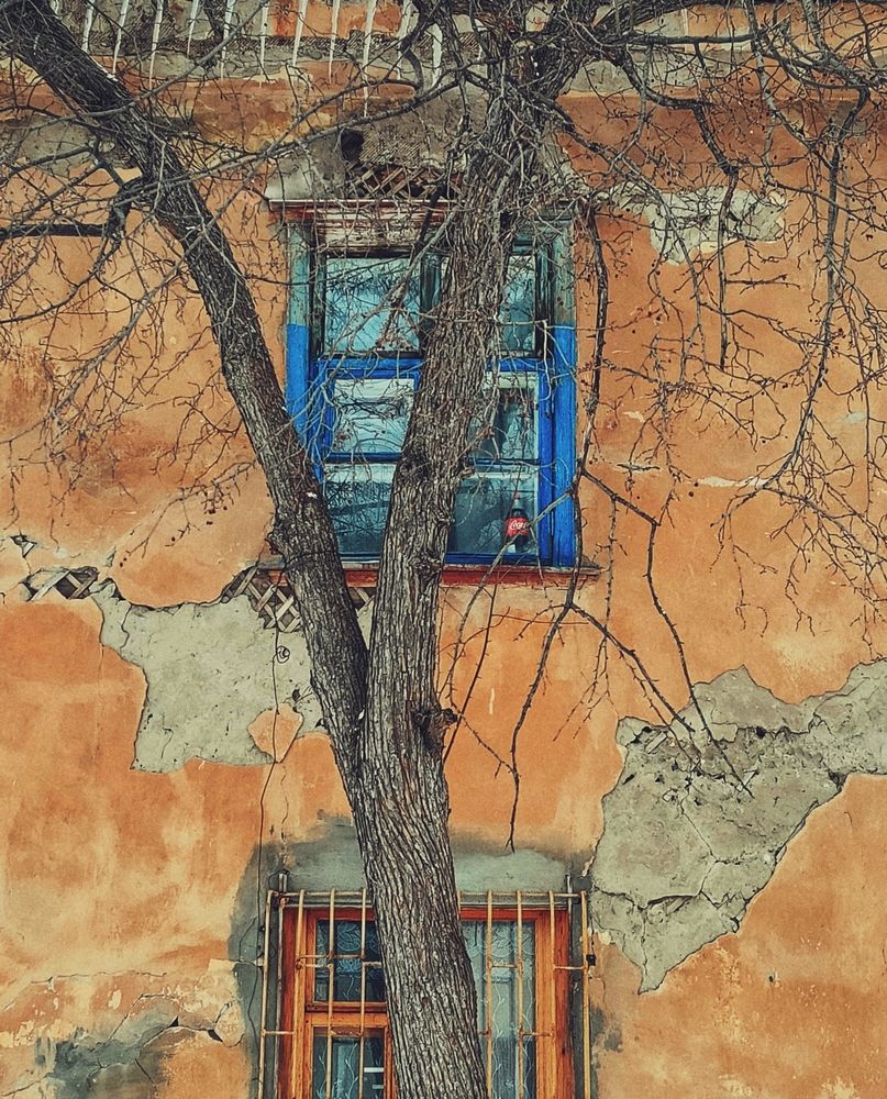 Photograph by Светлана Введенская