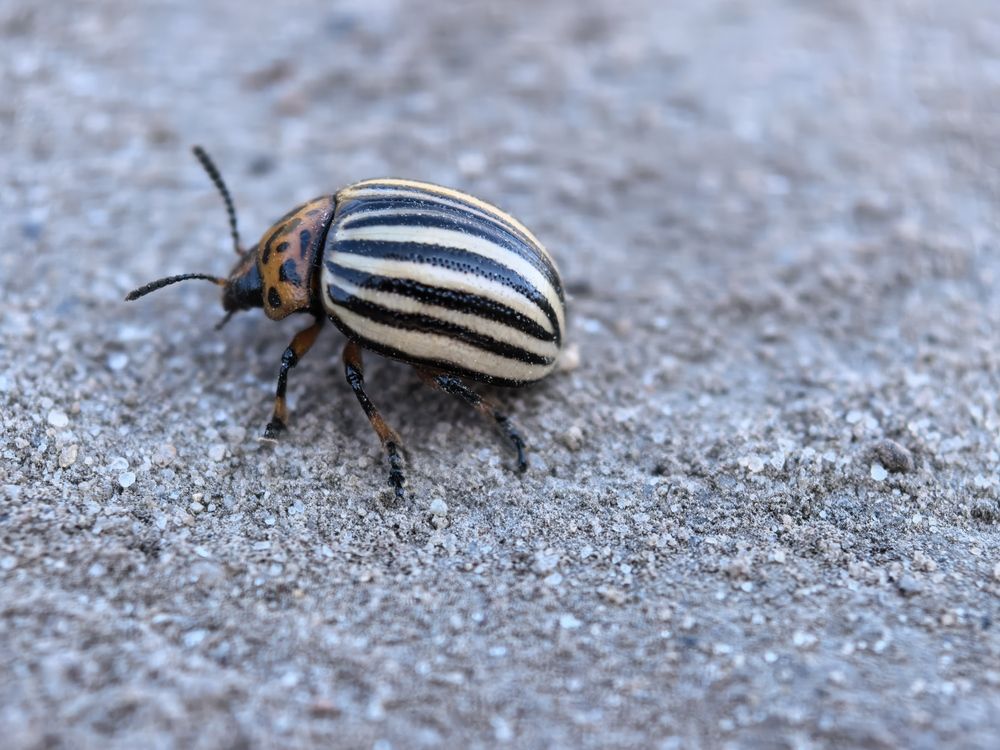 Фотография автора Елена Охапкина