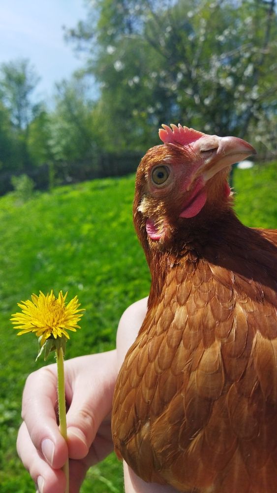 Photograph by Юлия Морозова