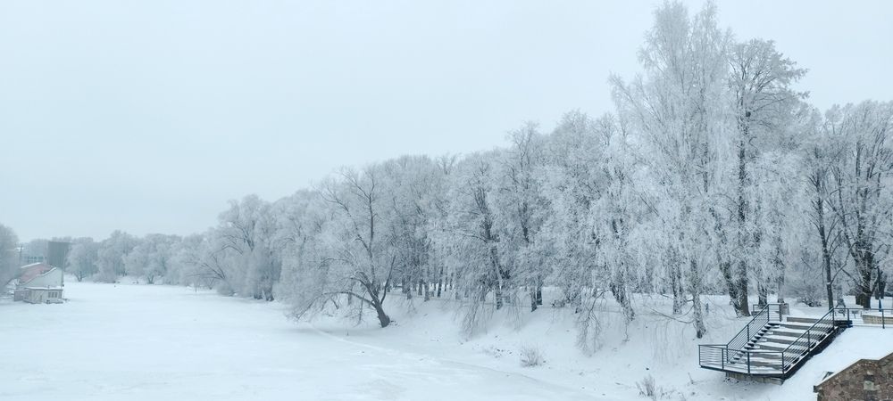 Фотография автора igor lebedev