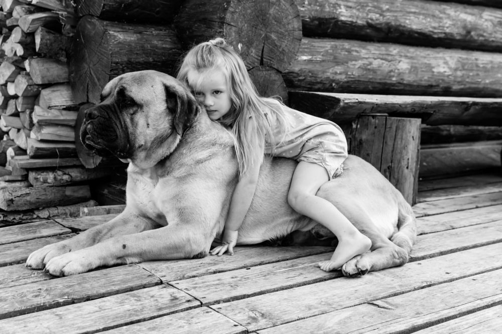 Photograph by Шилов Александр