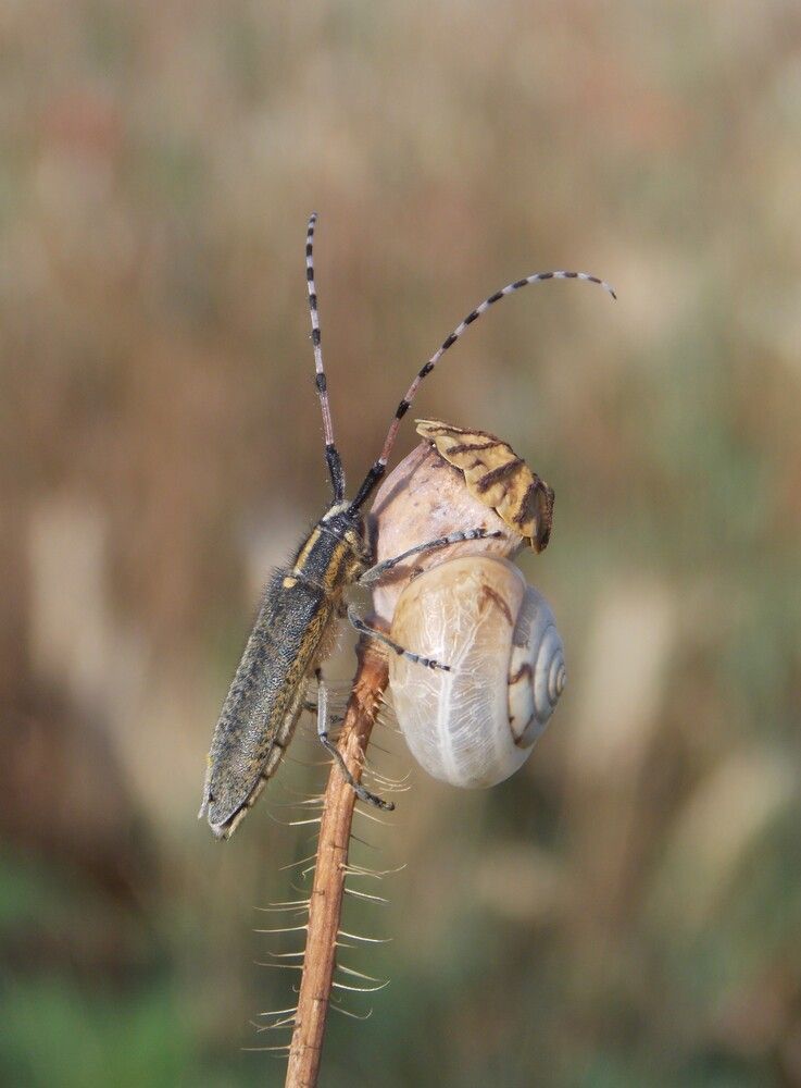 Photograph by Любовь Войводич