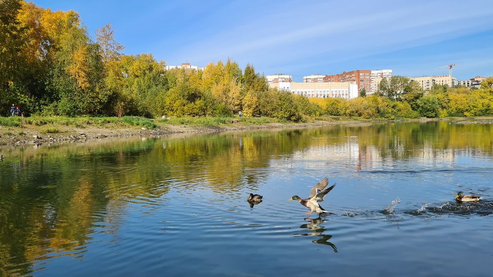 Photograph by Владимир Перетягин