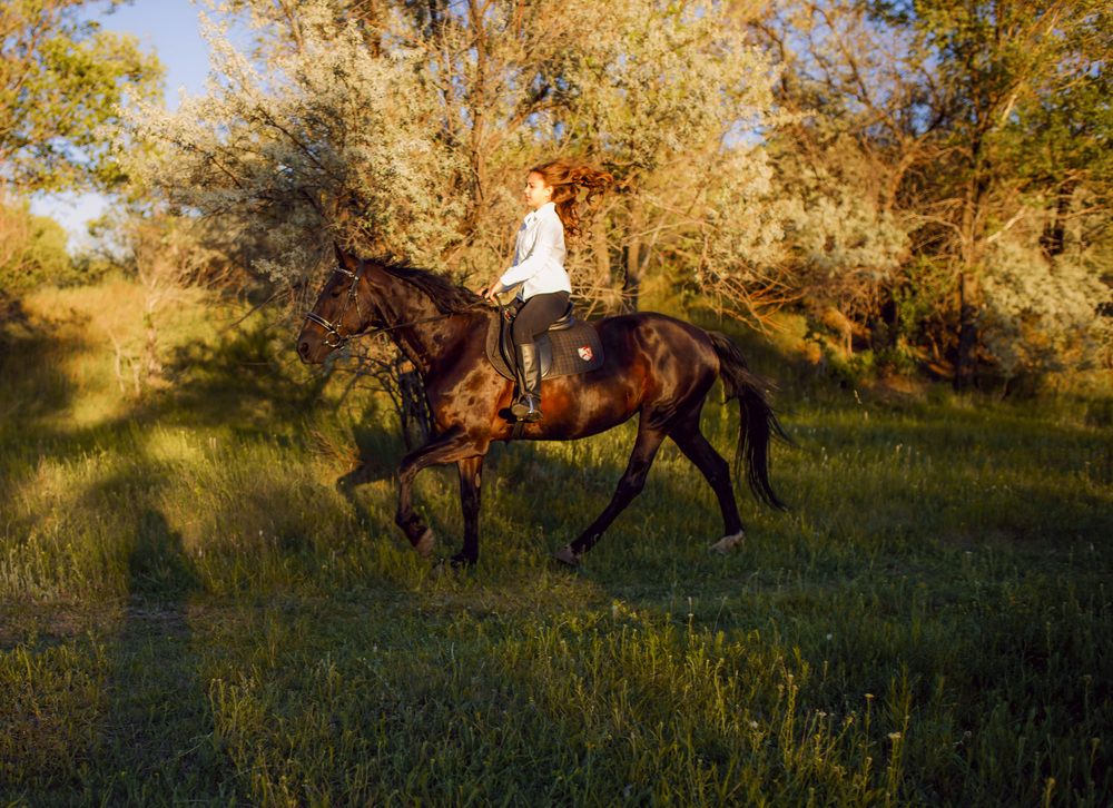 Фотография автора Анастасия Щербакова