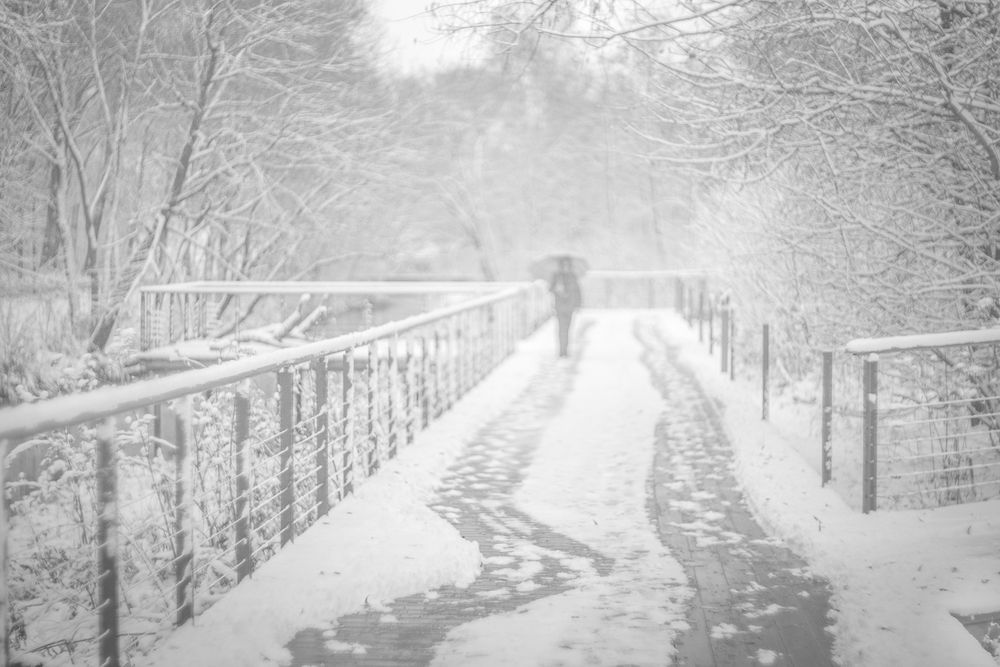 Фотография автора Татьяна Макотра