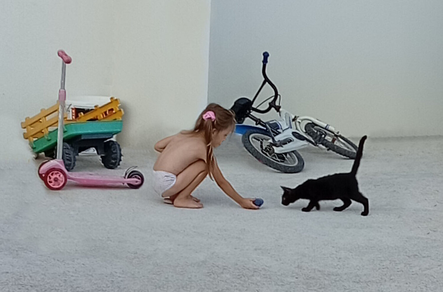 Photo #13288959