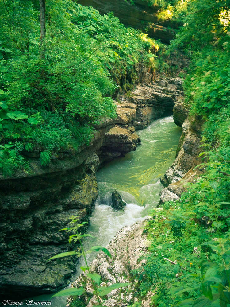 Фотография автора Ксения Смирнова