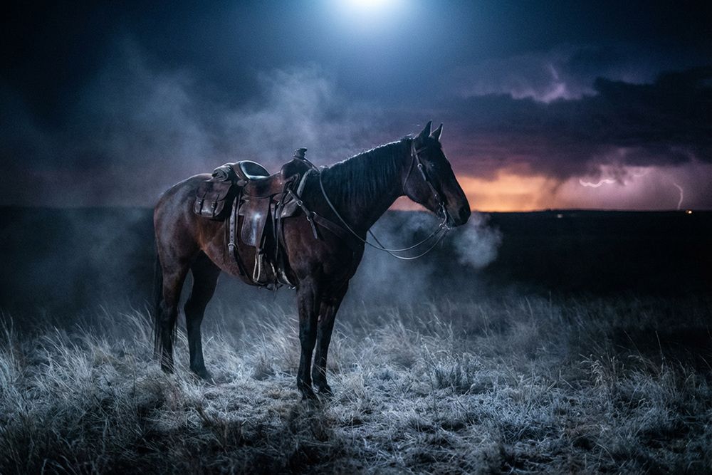 Photograph by Лидия Баженова