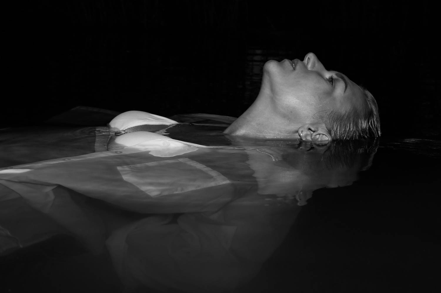 Photo #13289080