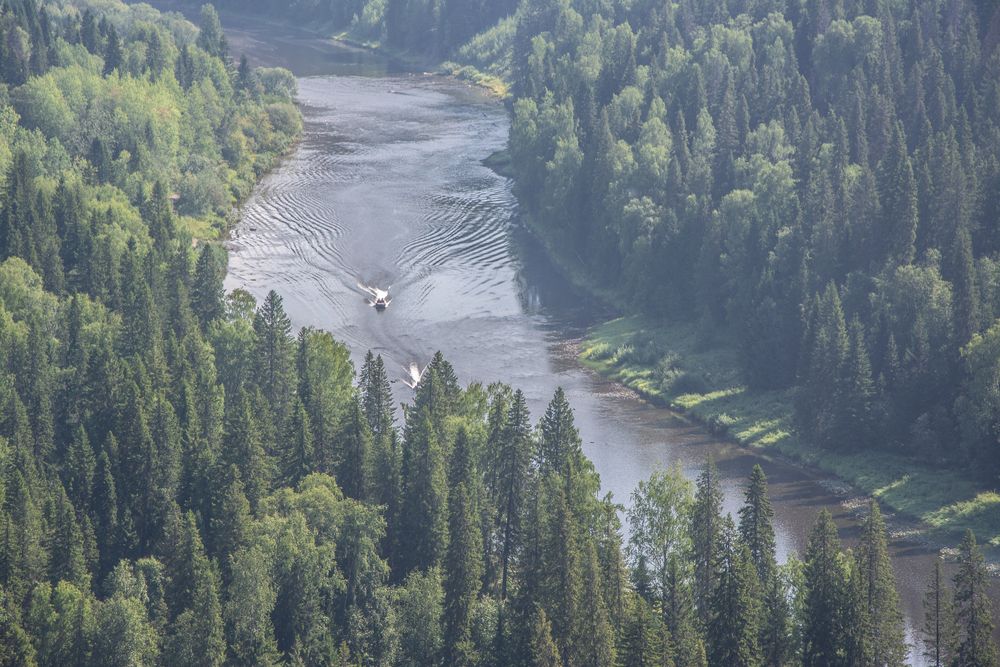 Photograph by Дмитрий Анисимов