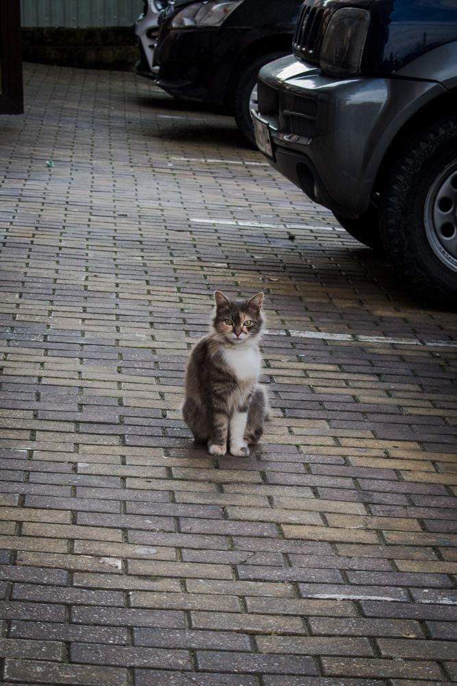 Photograph by Алина Аглямова