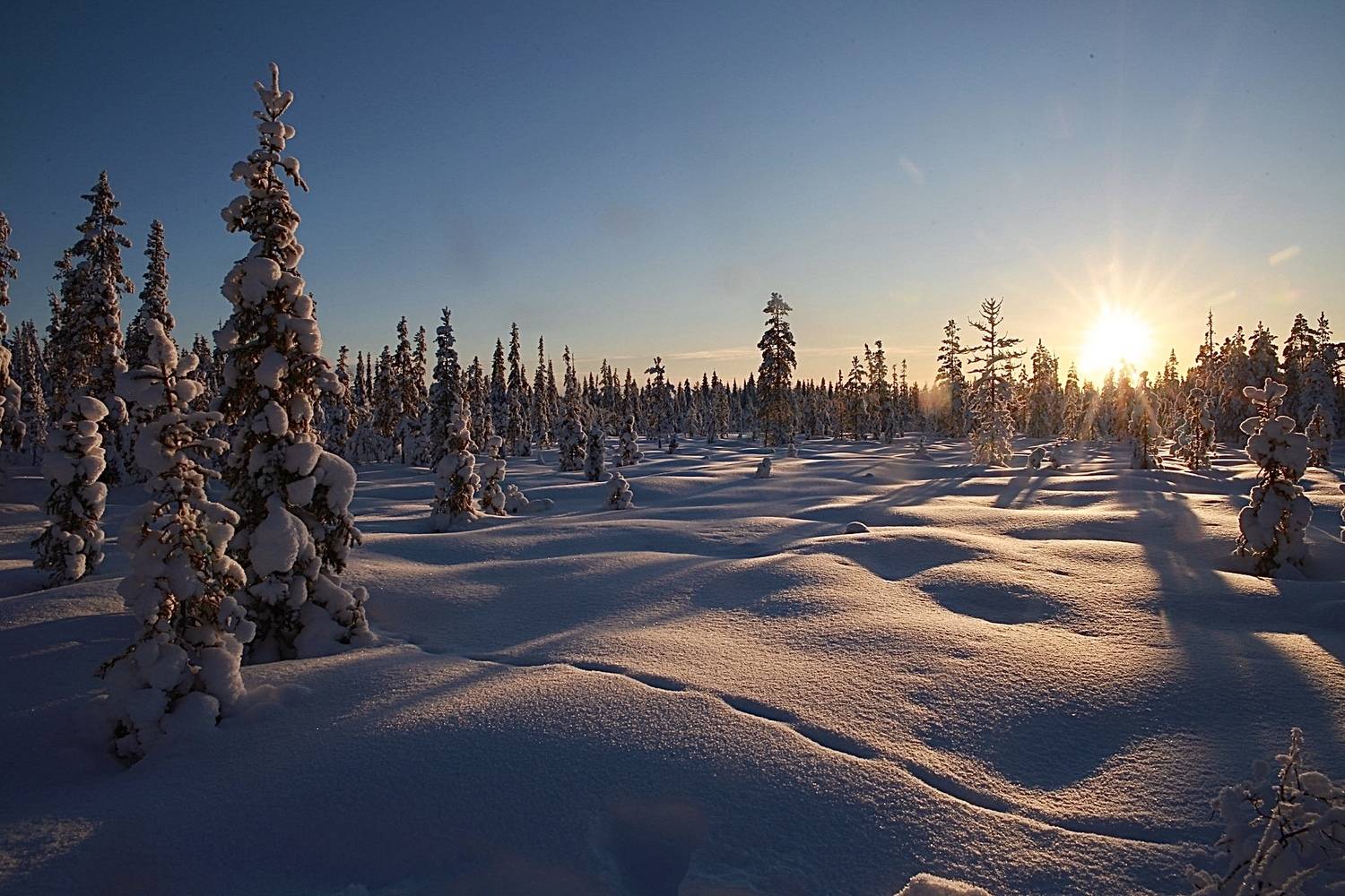 «На закате дня» «На закате дня»