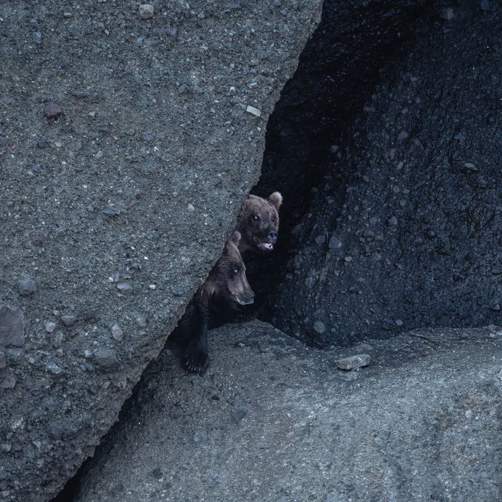 Photograph by Света Трифоненкова
