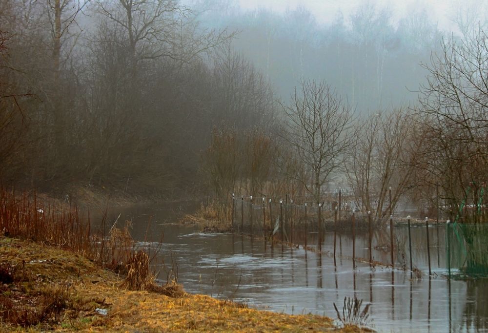 Photograph by Татьяна Слесарева