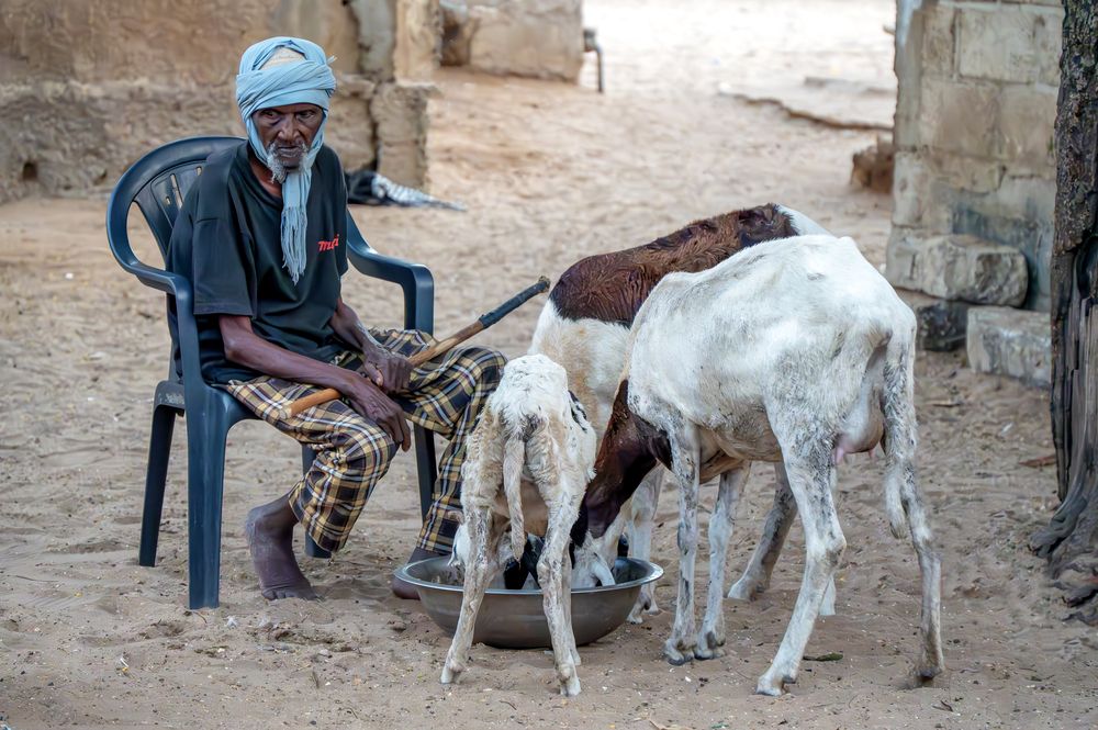 Photograph by Jacky Weckx