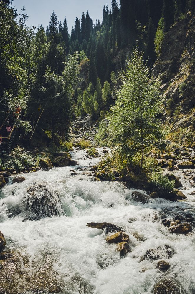 Фотография автора Юлия Подлеснова