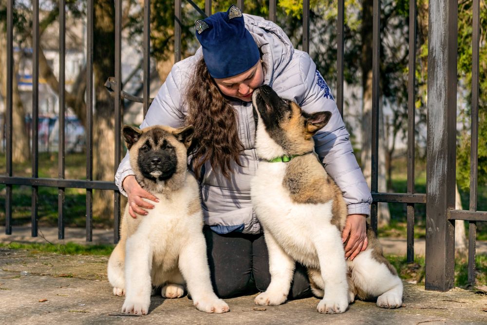 Photograph by Наталья Вялых