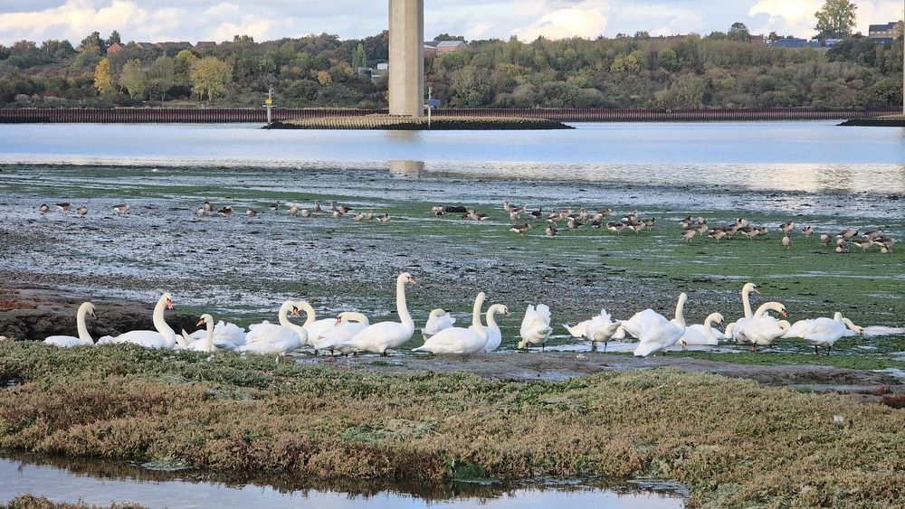 Photograph by Renata Sirazitdinova