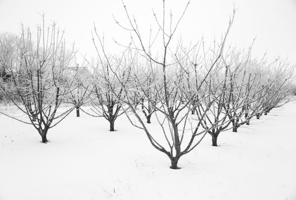 Photograph by Павел Вихрев