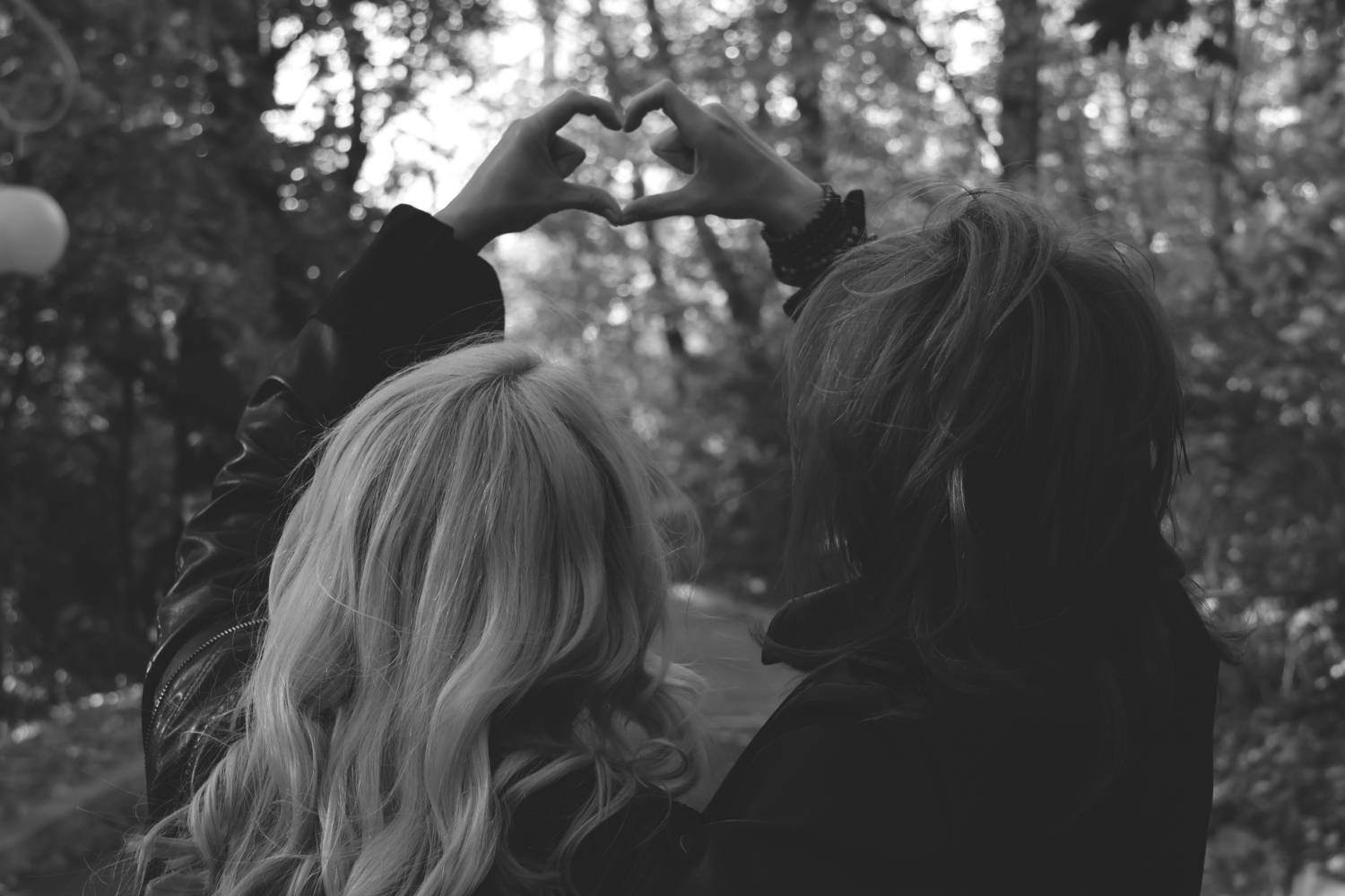 Photo #13289879