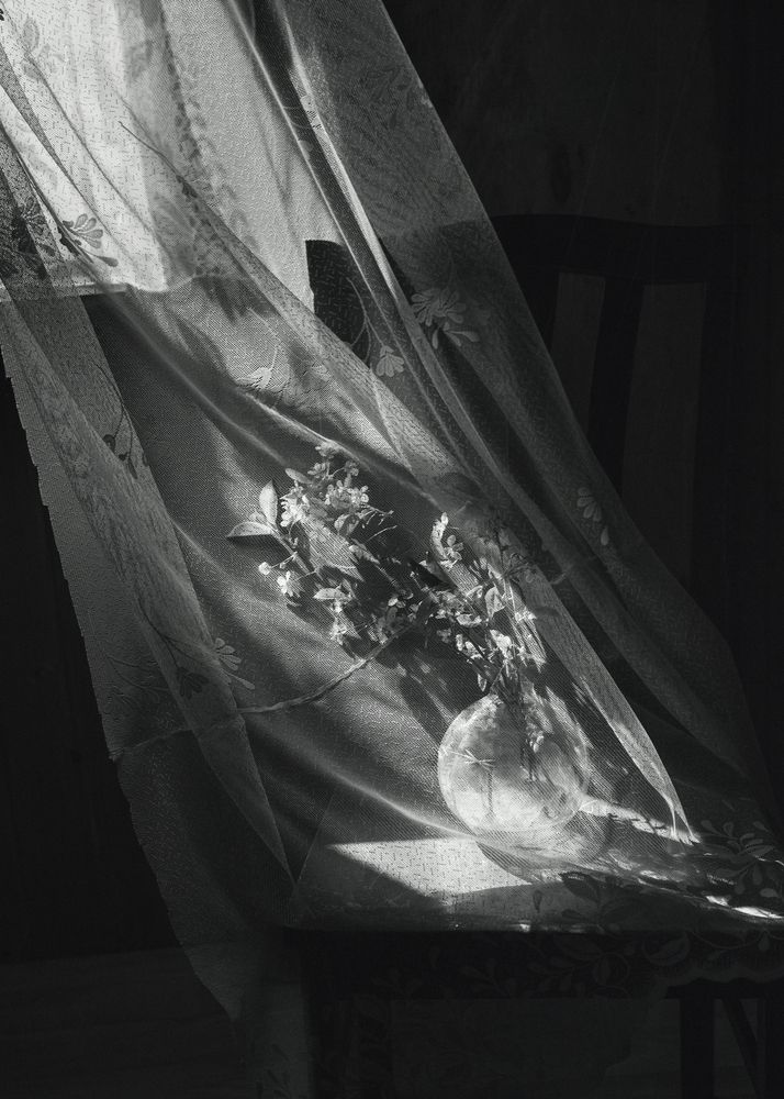 Photograph by Елена Хазина