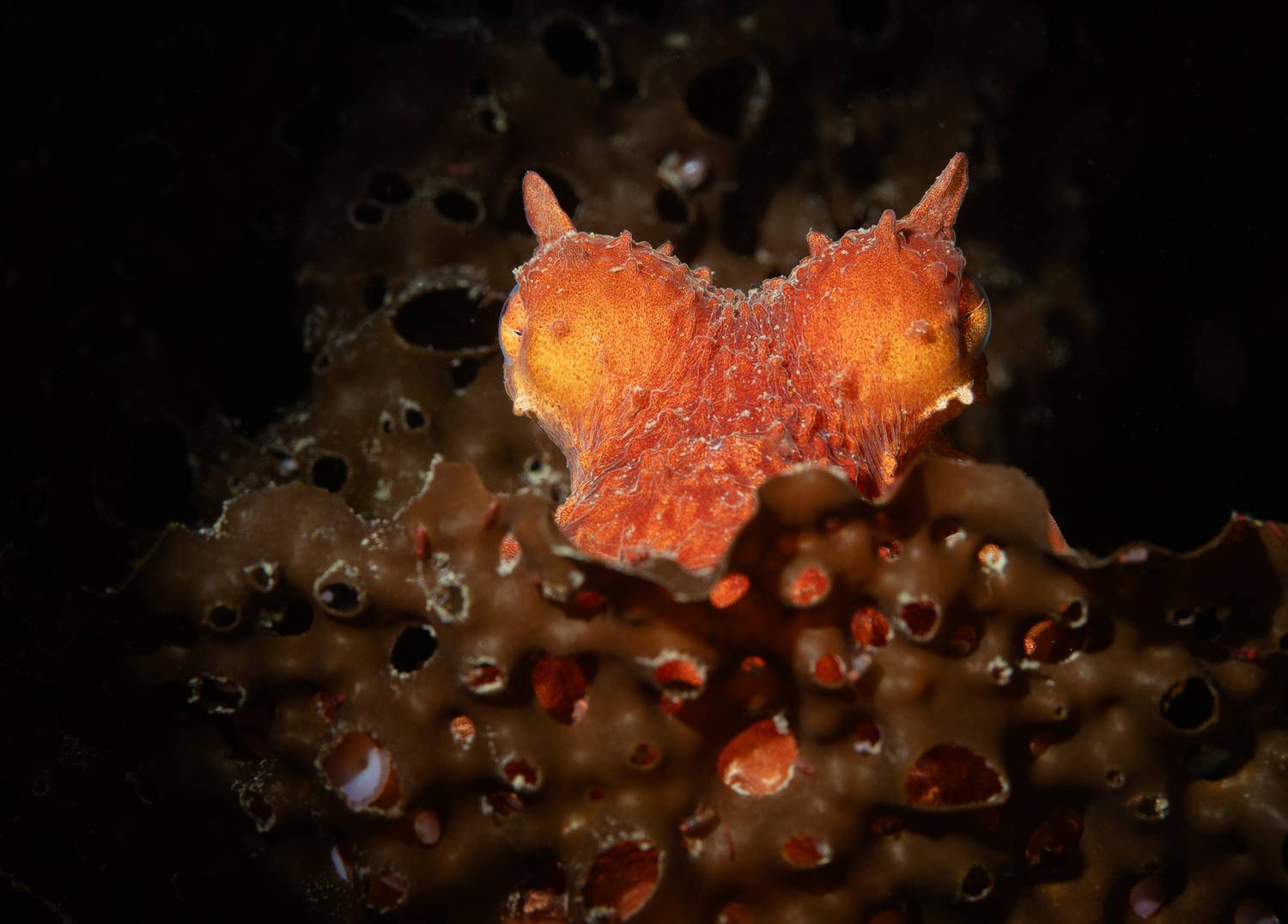 Фотография #13289901