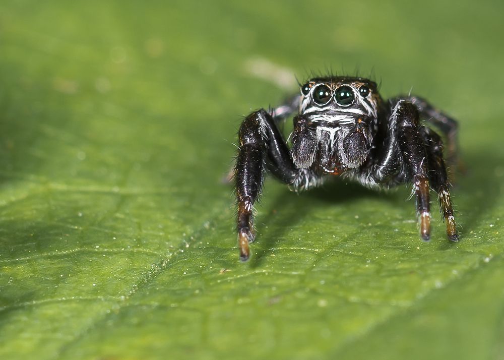 Photograph by Victor Stepanov