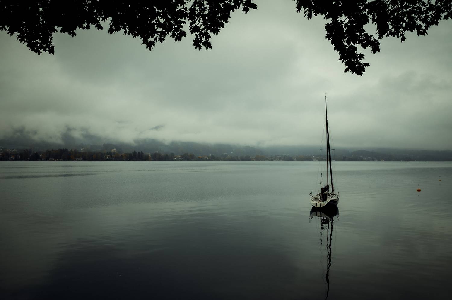 Фотография #13289932