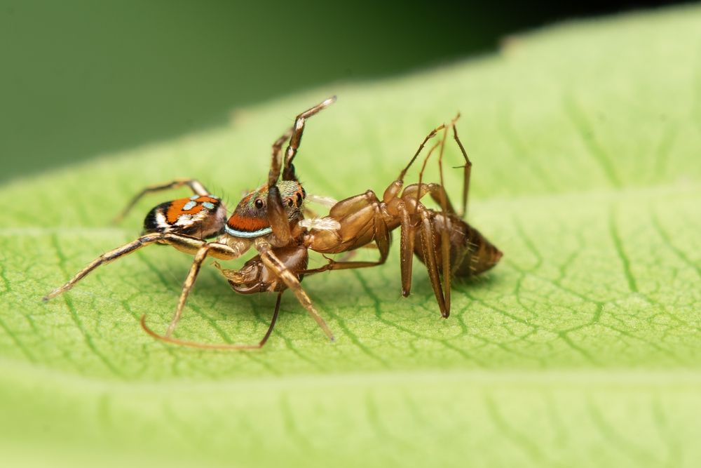 Photograph by ARUNAVA DEY