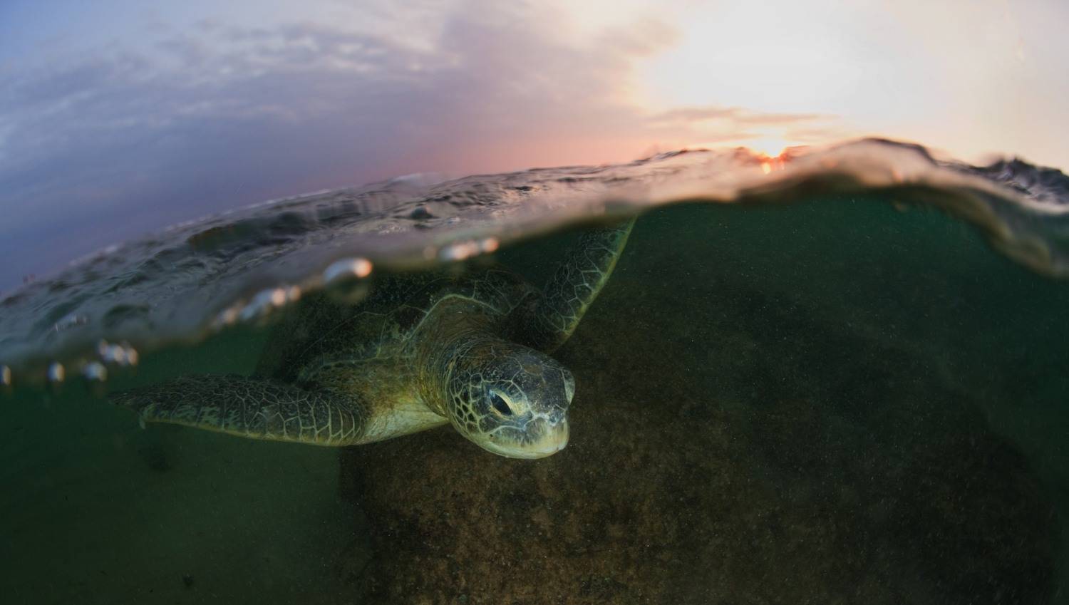 Фотография #13289993