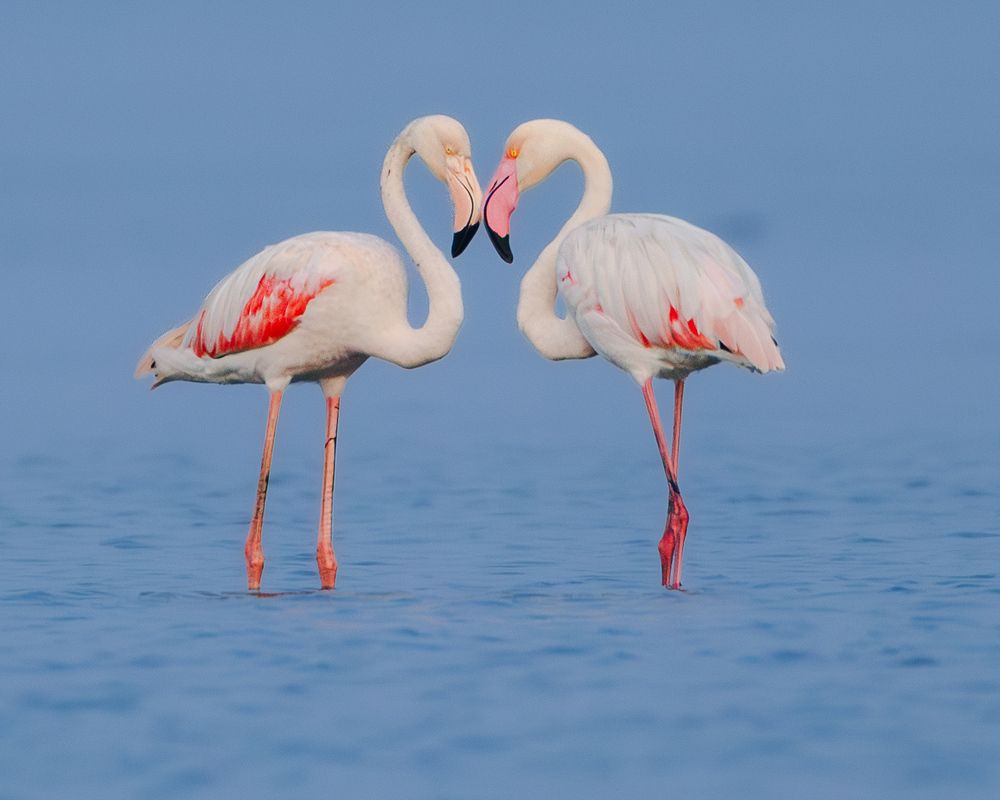 Photograph by MUKESH RAJAN S
