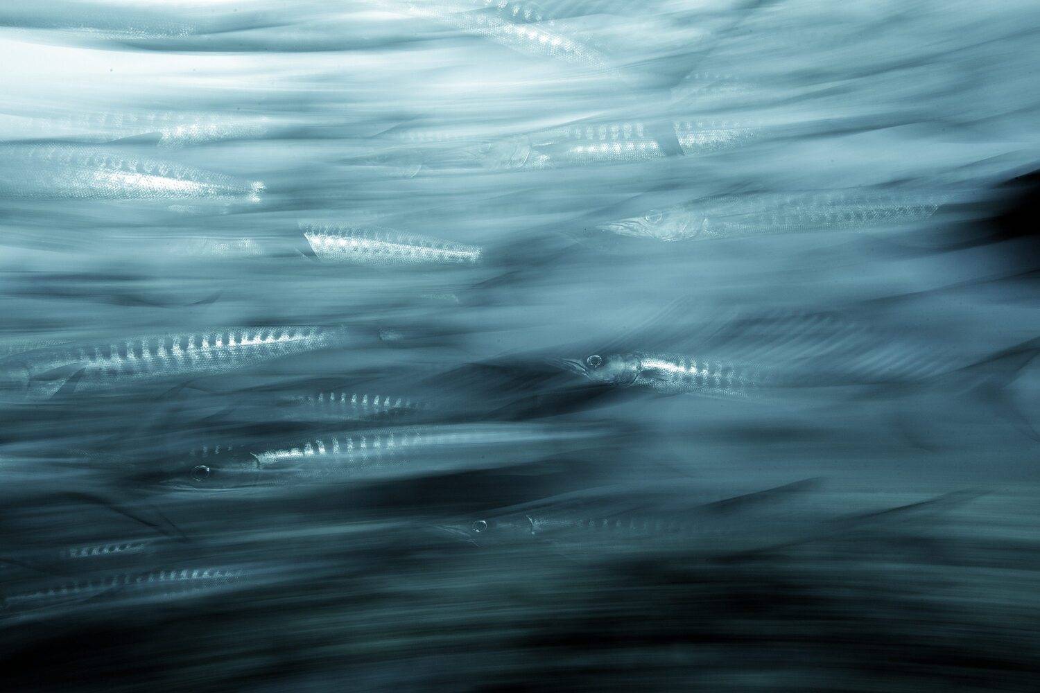 Стальной поток