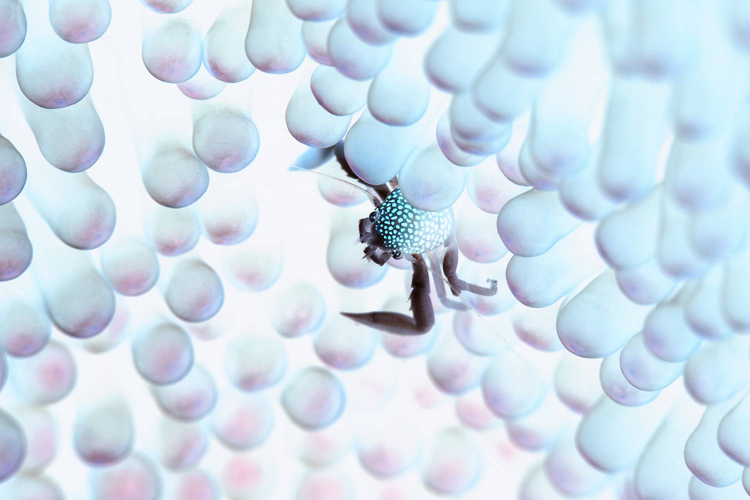 Фотография #13290060