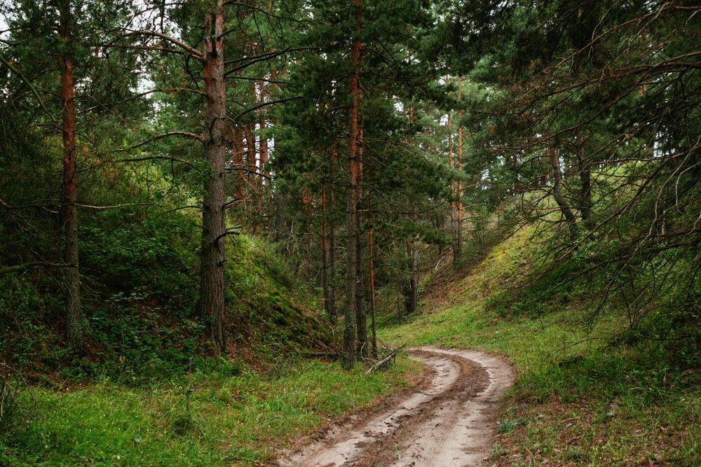 Photograph by Elena Chilikina