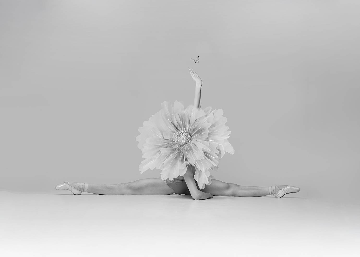 Фотография #13290075