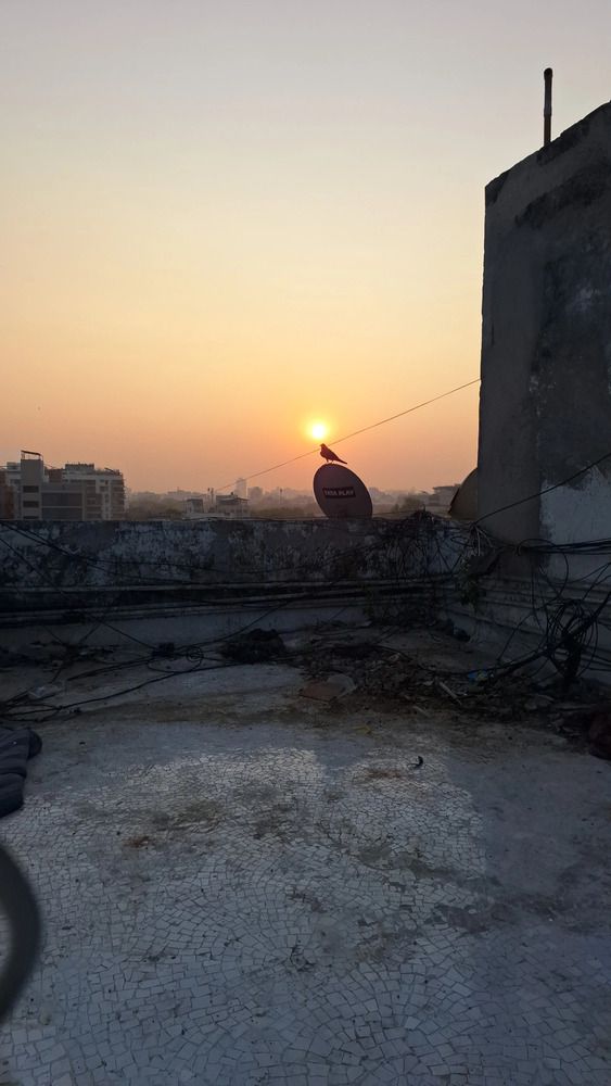 Photograph by Siddharth Das