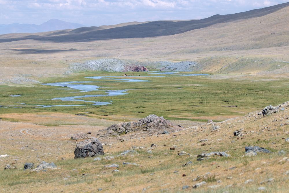 Фотография автора Вячеслав Кандиков