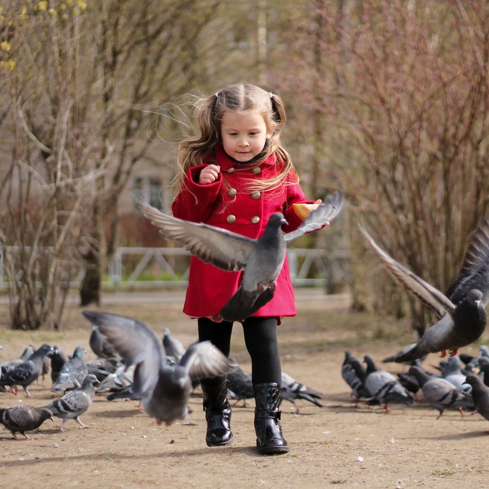 Photograph by Наталья Муравейко