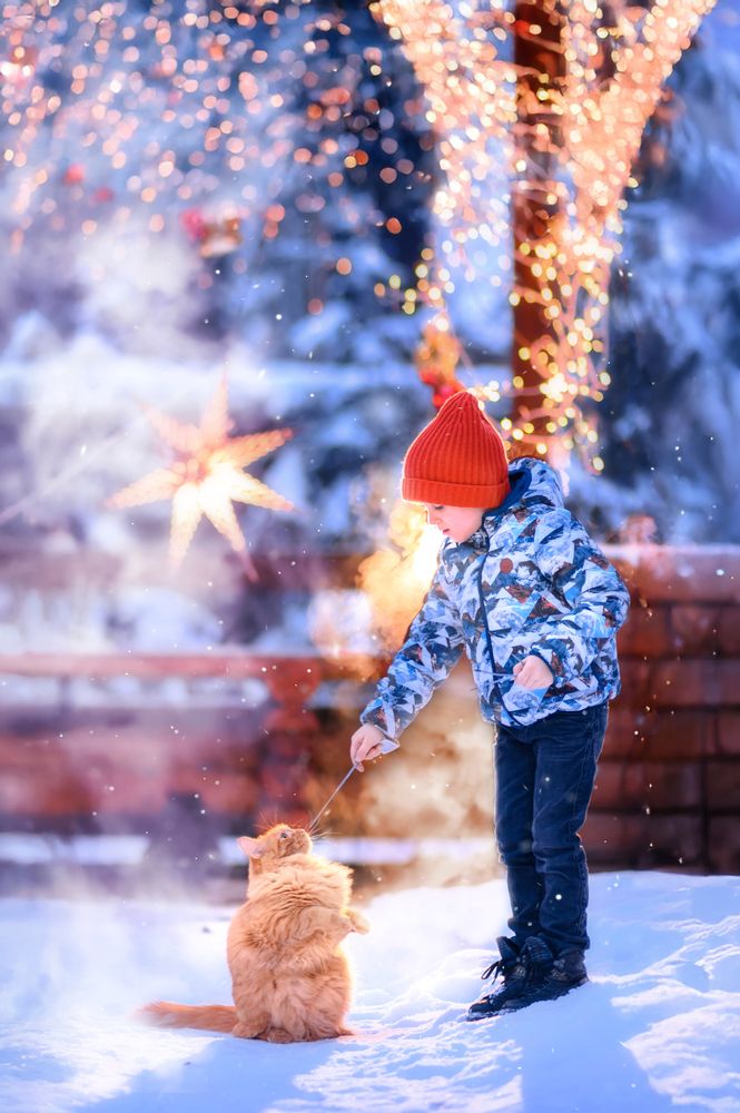 Фотография автора Яна Романова