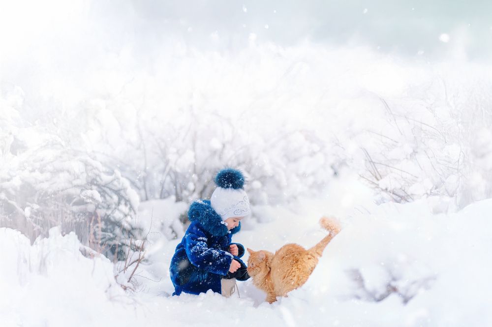 Прогулка с лучшим другом