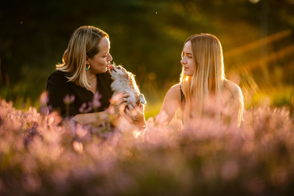 Photograph by Karolina Olejnik