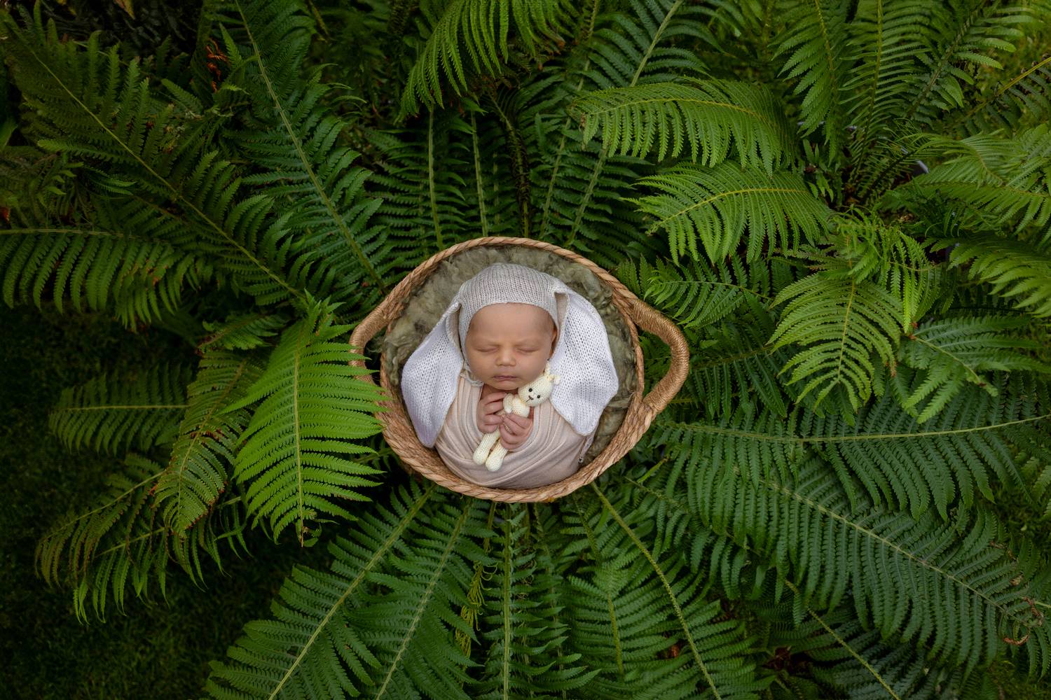 Лесной зверек Лесной зверек