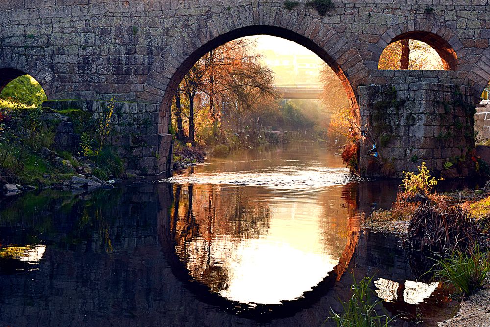 Photograph by Jose Guimaraes