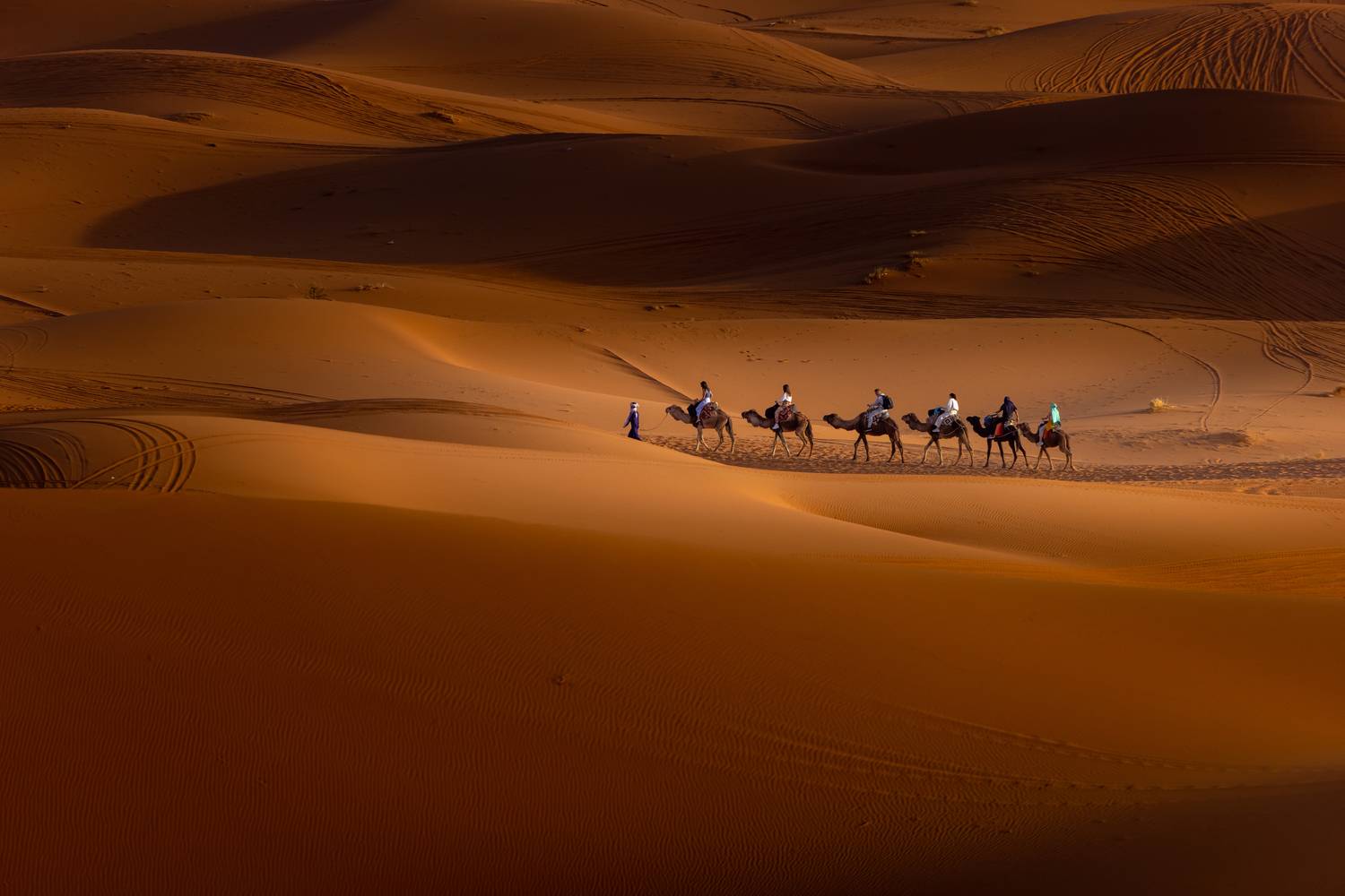 Корабли пустыни