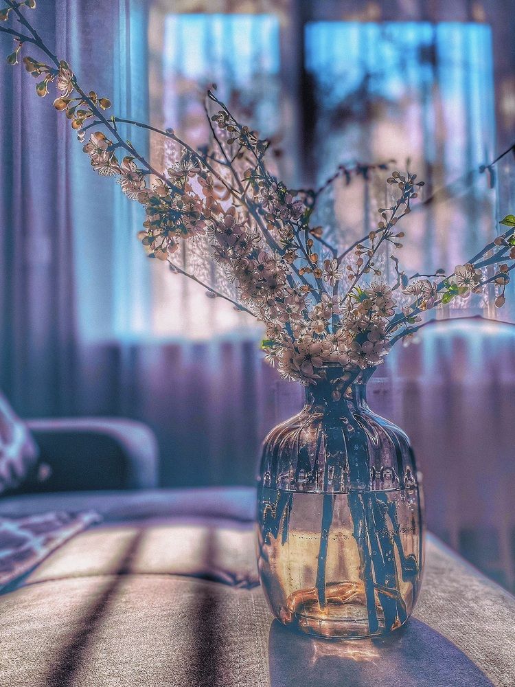 Фотография автора Светлана Долганова