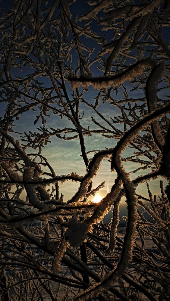Photograph by Анна Захарчук