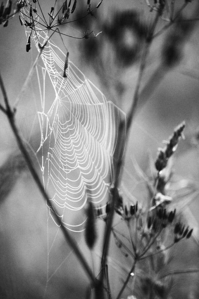 Photograph by Полина Зайцева