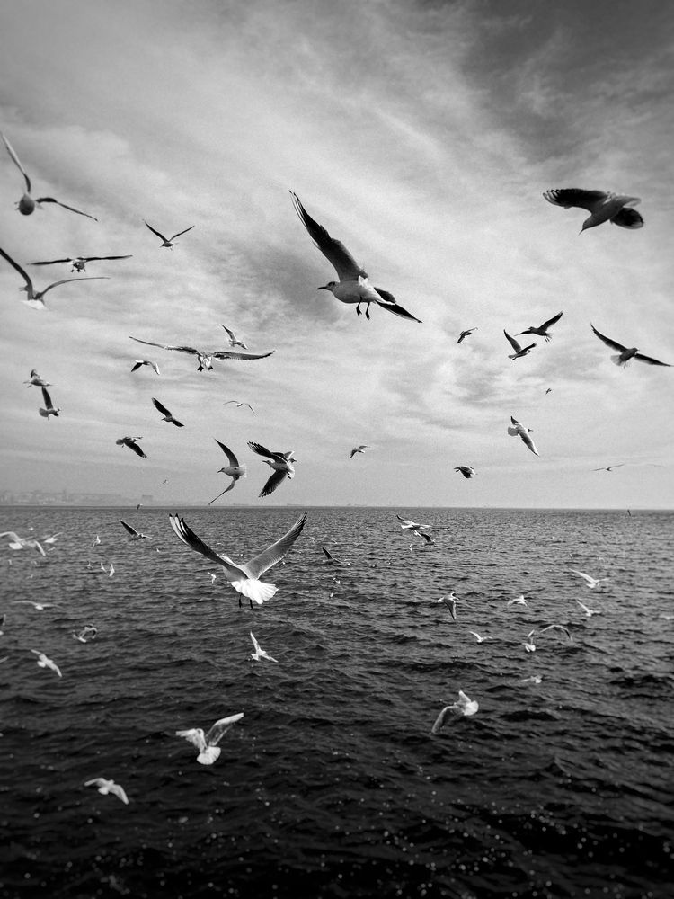 Photograph by Аруза