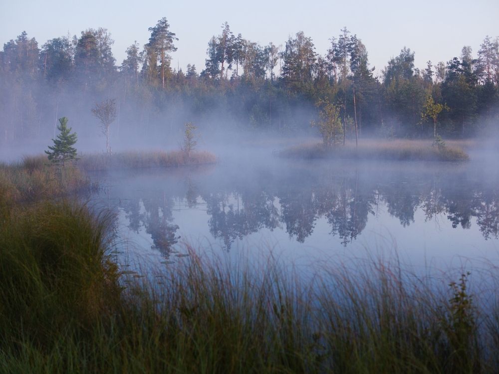 Photograph by Поляков Алексей